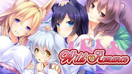 Product cover for Wild Romance