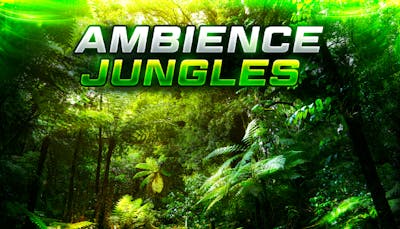Ambience Jungles