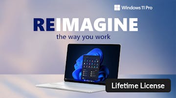 Product cover for Microsoft Windows 11 Pro: Lifetime License