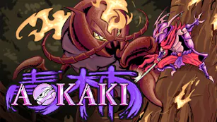 Product cover for AOKAKI