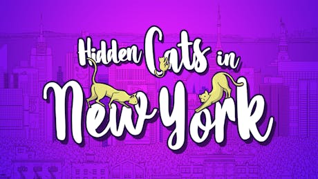 Product cover for Hidden Cats in New York