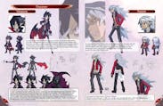 D4C+ Sample 1