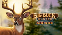 Product cover for Big Buck Hunter Arcade