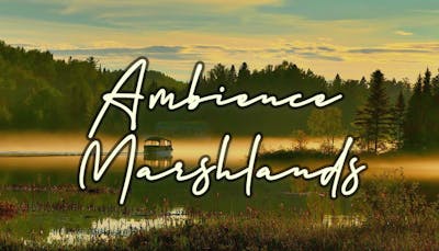Ambient Video Game Music – Marshlands
