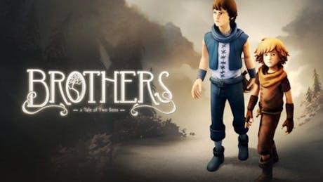 Product cover for Brothers - A Tale of Two Sons