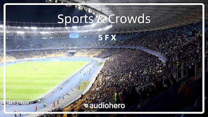 Sports & Crowds