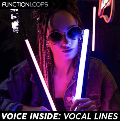 Voice Inside Speech Punchlines