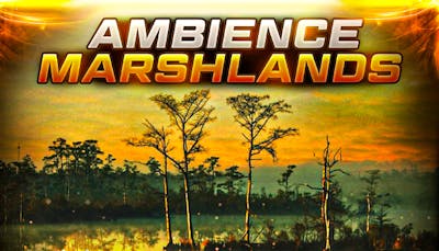 Ambience Marshlands
