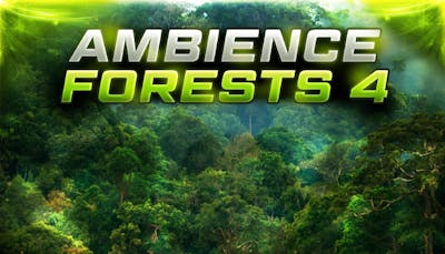 Ambience Forests 4