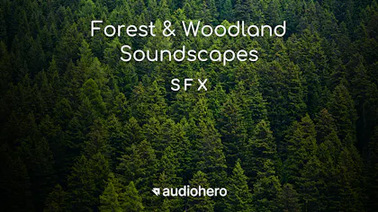 Forest & Woodland Soundscapes 