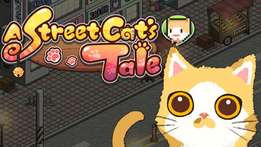 Product cover for A Street Cat's Tale