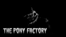 Product cover for The Pony Factory