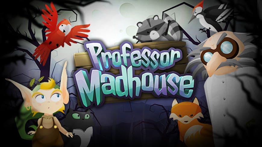 Product cover for Professor Madhouse
