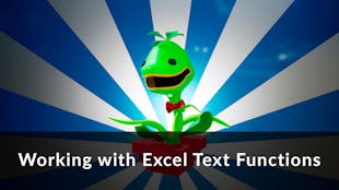 Working with Excel Text Functions
