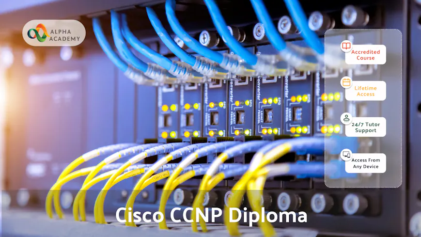 Product cover for Cisco CCNP Implementing Cisco IP Switched Networks (Switch) v2.0 Training Diploma