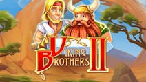 Product cover for Viking Brothers 2
