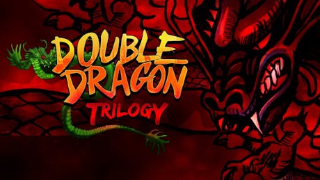 Product cover for Double Dragon Trilogy
