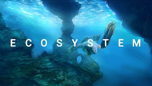 Product cover for Ecosystem