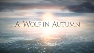 Product cover for A Wolf in Autumn