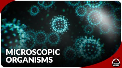 Microscopic Organisms