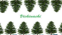 Product cover for Vickinachi