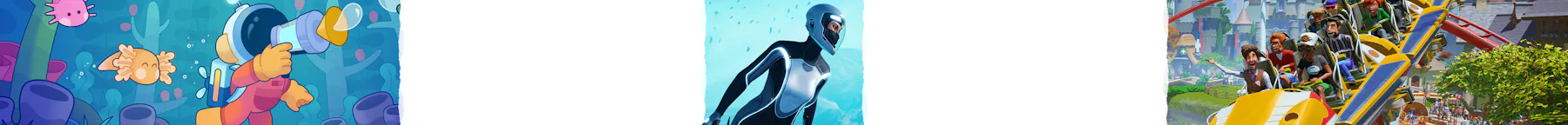 Whale and Dolphin Conservation Charity Bundle