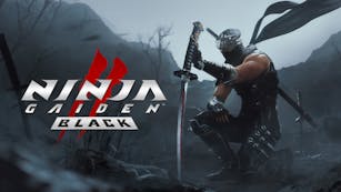 Product cover for NINJA GAIDEN 2 Black