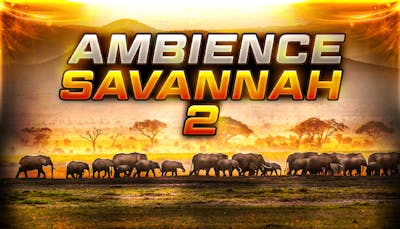 Ambience Savannah 2