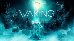 Product cover for Waking
