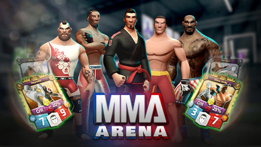 Product cover for MMA Arena