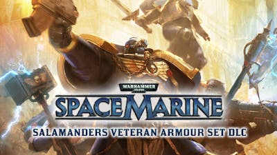 Warhammer 40,000: Space Marine - Salamanders Veteran Armour Set DLC