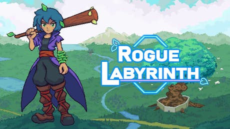Product cover for Rogue Labyrinth
