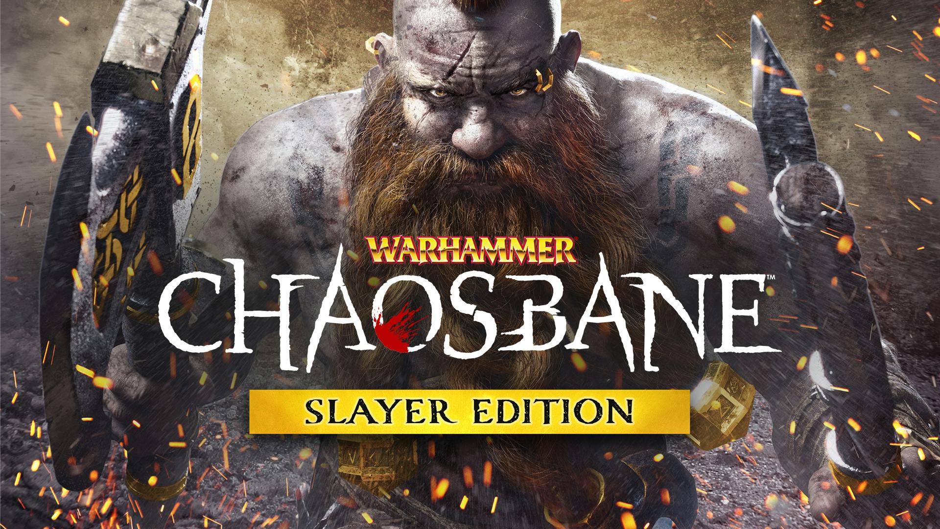 Warhammer chaosbane steam фото 117