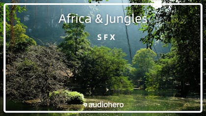 Africa & Jungles