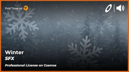 SFX Winter