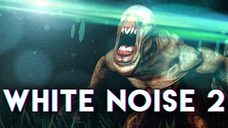 Product cover for White Noise 2