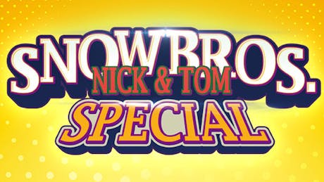 Product cover for SNOW BROS. SPECIAL: ANNIVERSARY EDITION