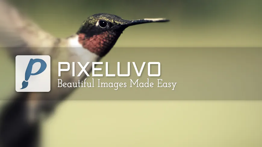 Product cover for Pixeluvo