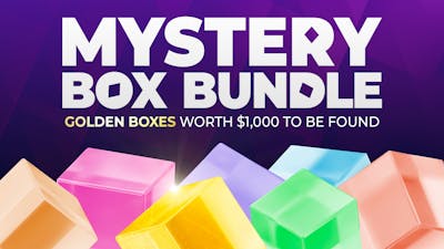Mystery Box Bundle