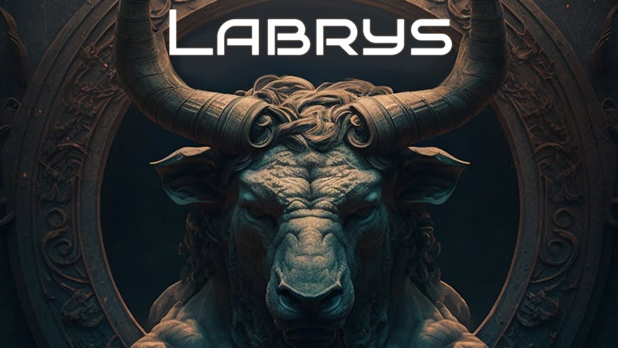 Labrys | PC Steam Game | Fanatical