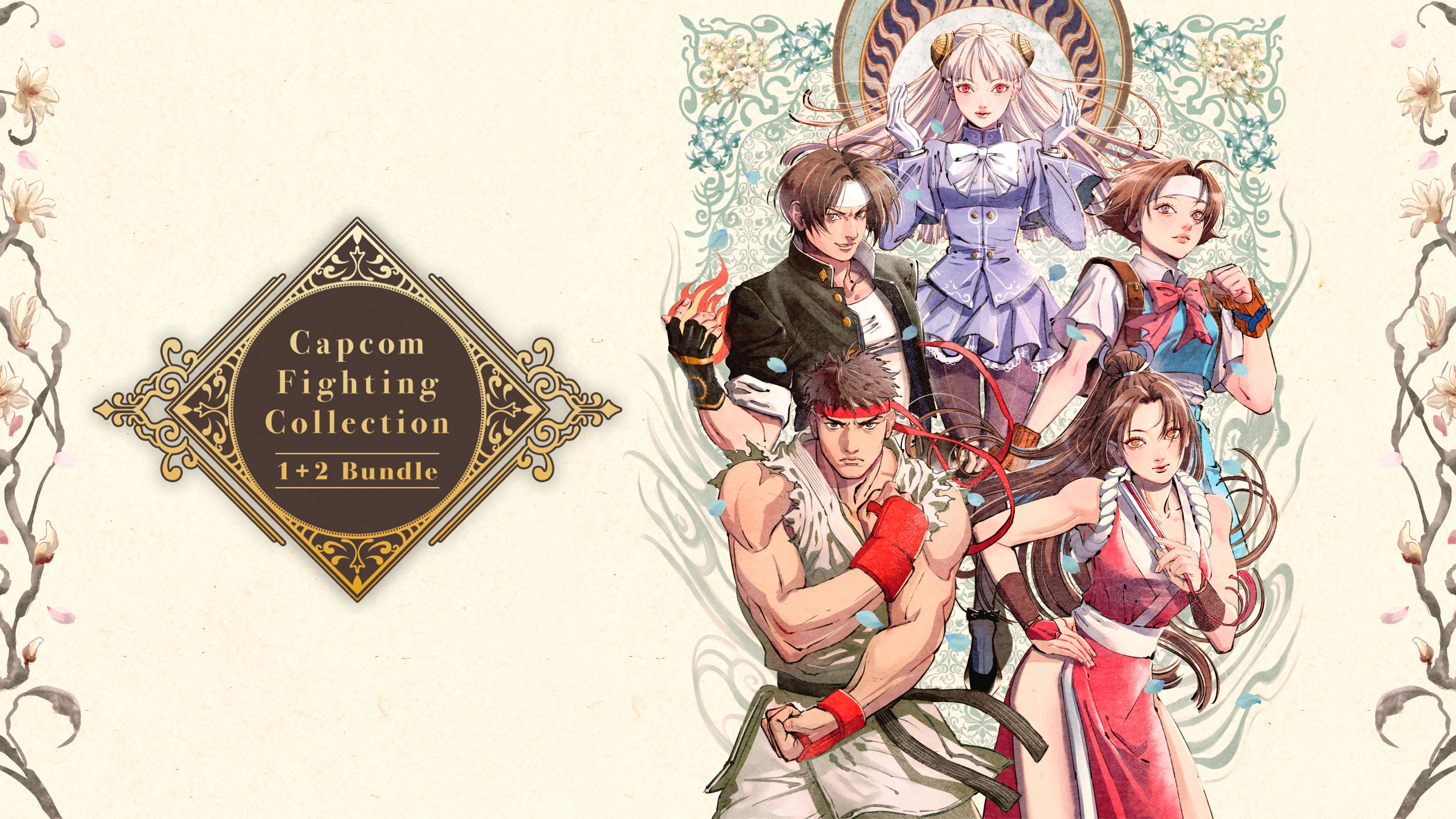 Capcom Fighting Collection 1 & 2 Bundle