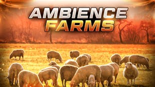 Ambient Video Game Music – Farms