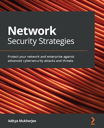 Network Security Strategies