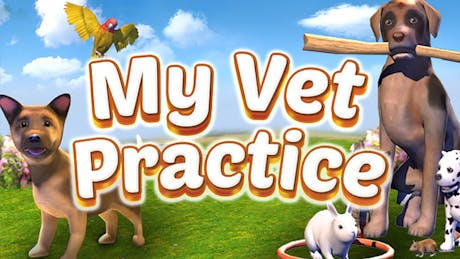 Product cover for My Vet Practice