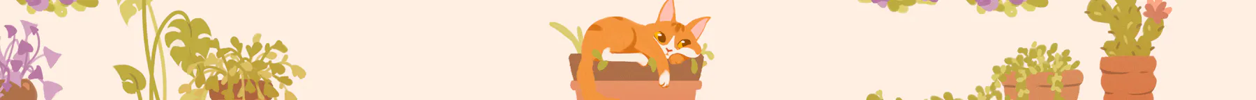 Build your own Wholesome Collection