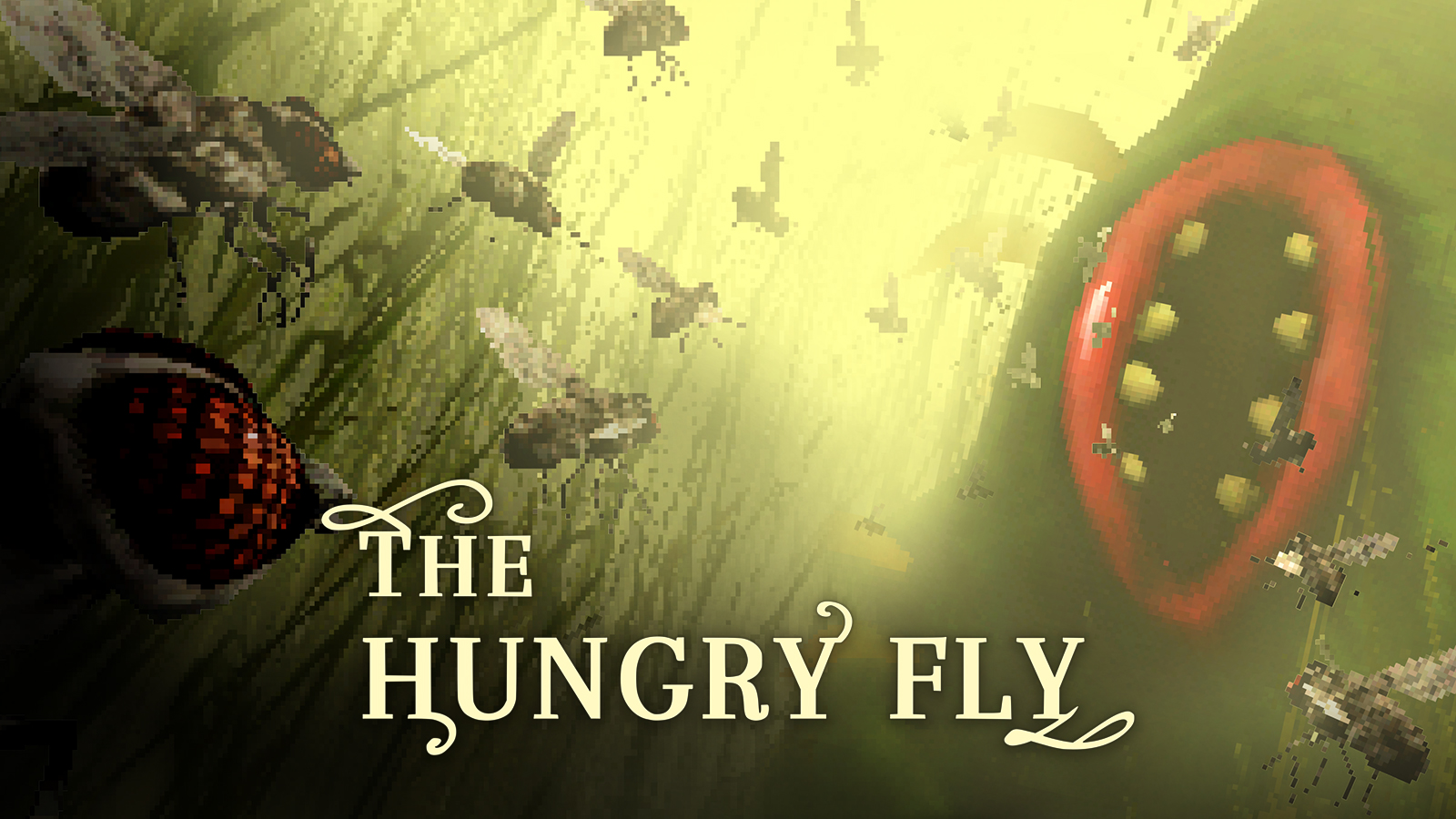 The Hungry Fly
