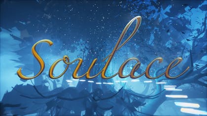 Product cover for Soulace