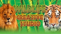 Product cover for Wildlife Creative Studio