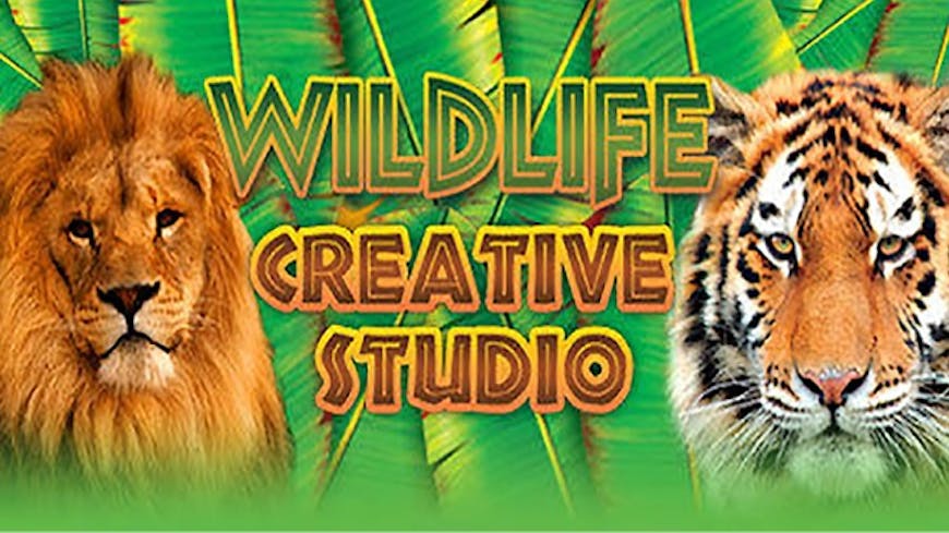 Product cover for Wildlife Creative Studio