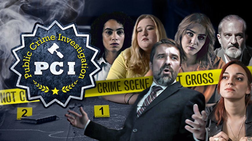 Product cover for PCI Public Crime Investigation